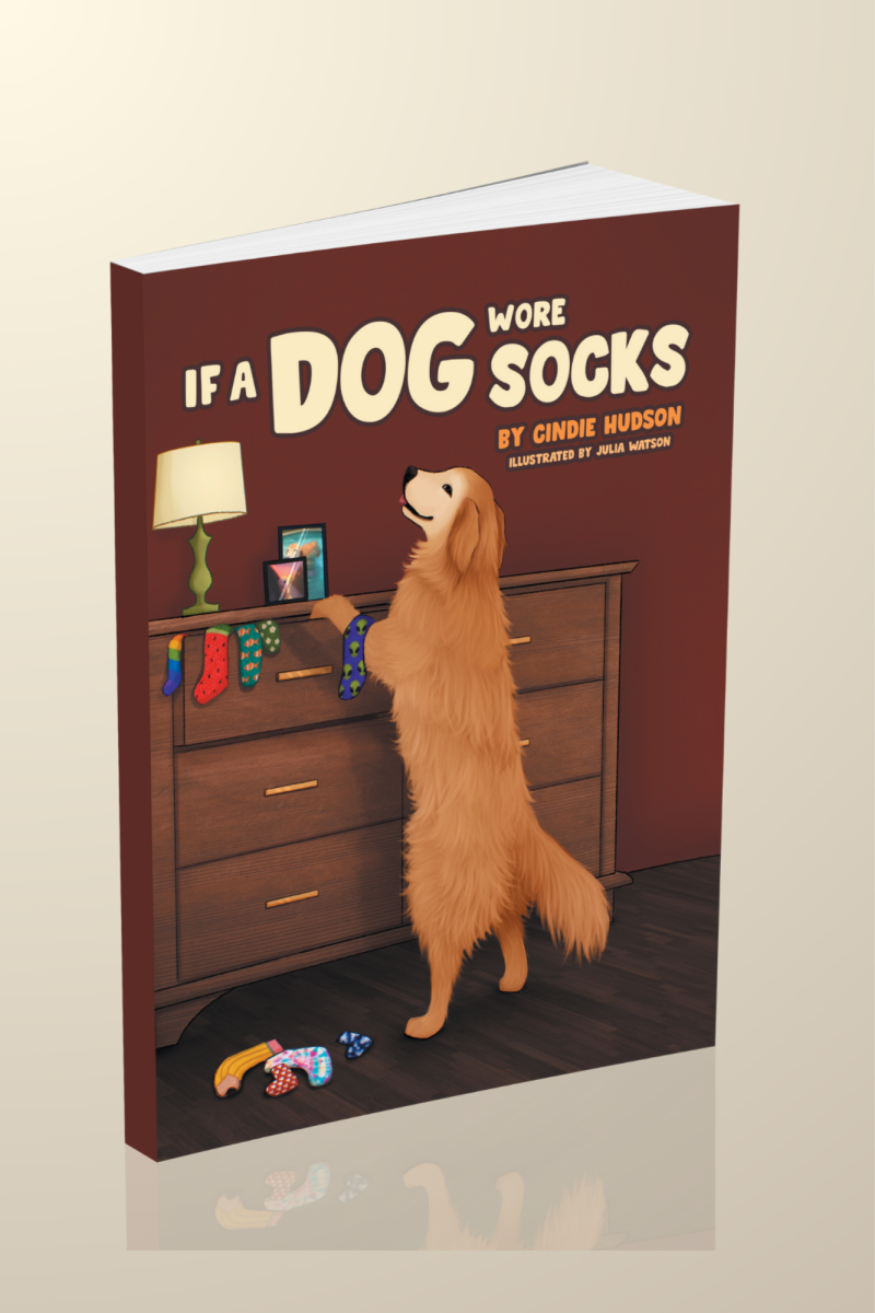 If A Dog Wore Socks - Image 2