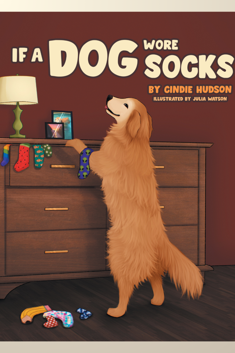 If A Dog Wore Socks