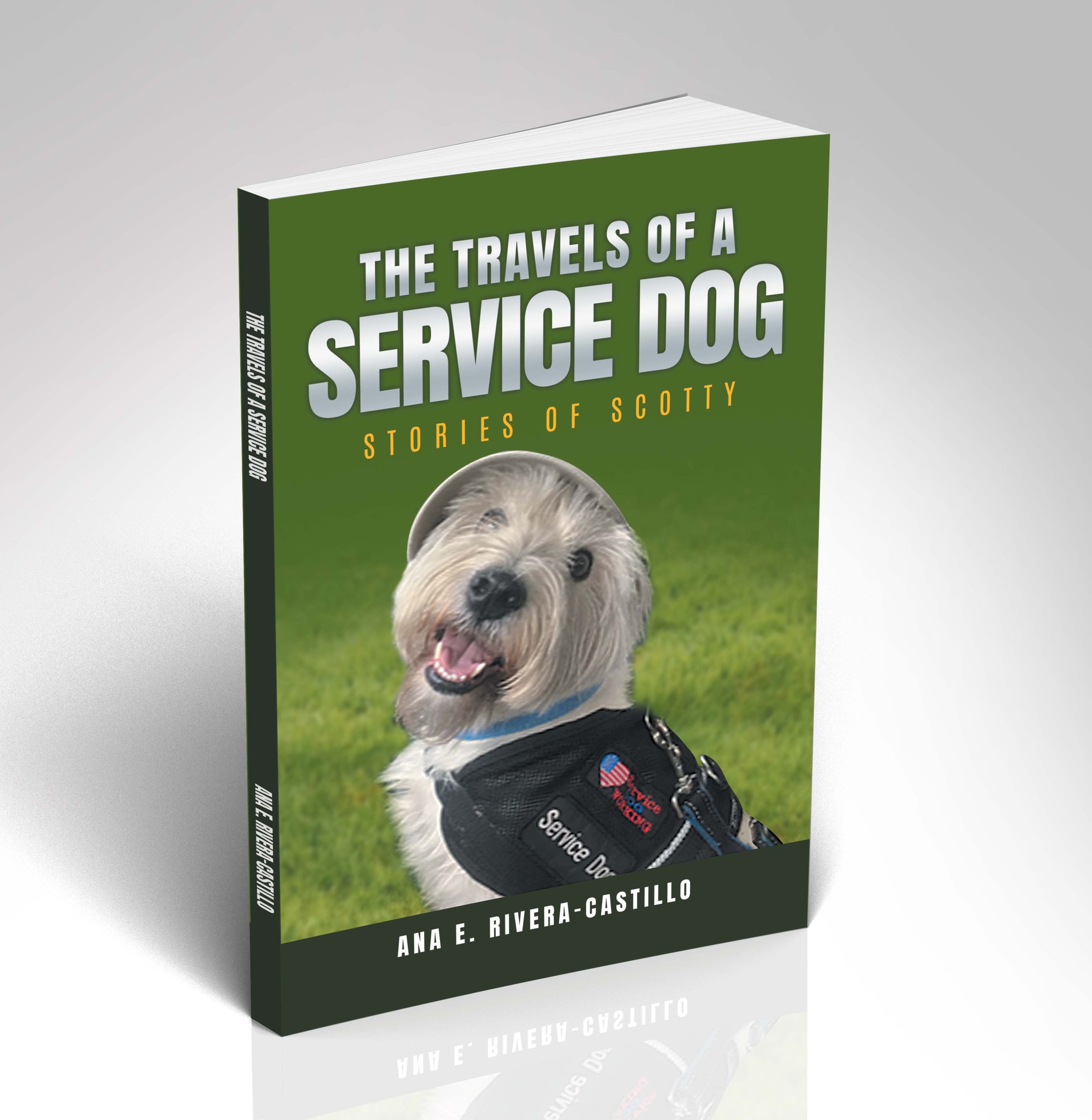 The Travels of a Service Dog: Stories of Scotty - Image 3