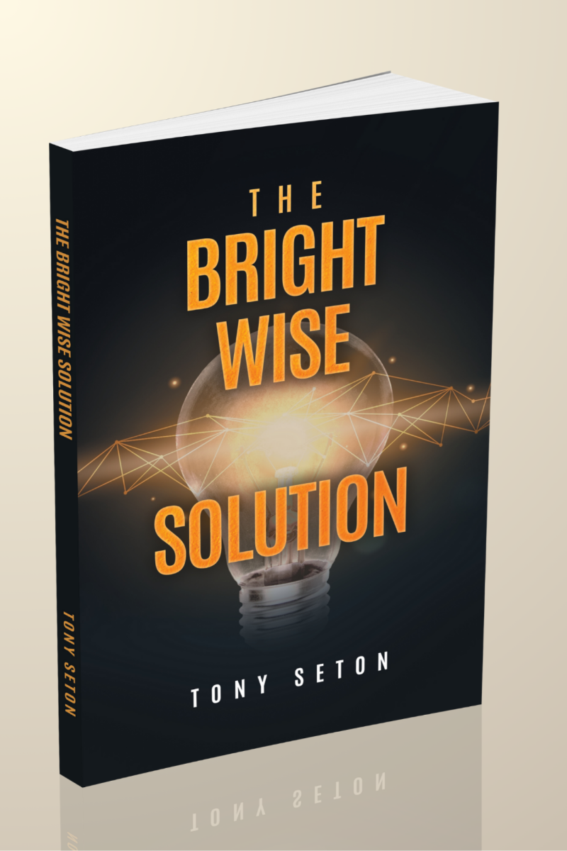 The Bright Wise Solution - Image 3