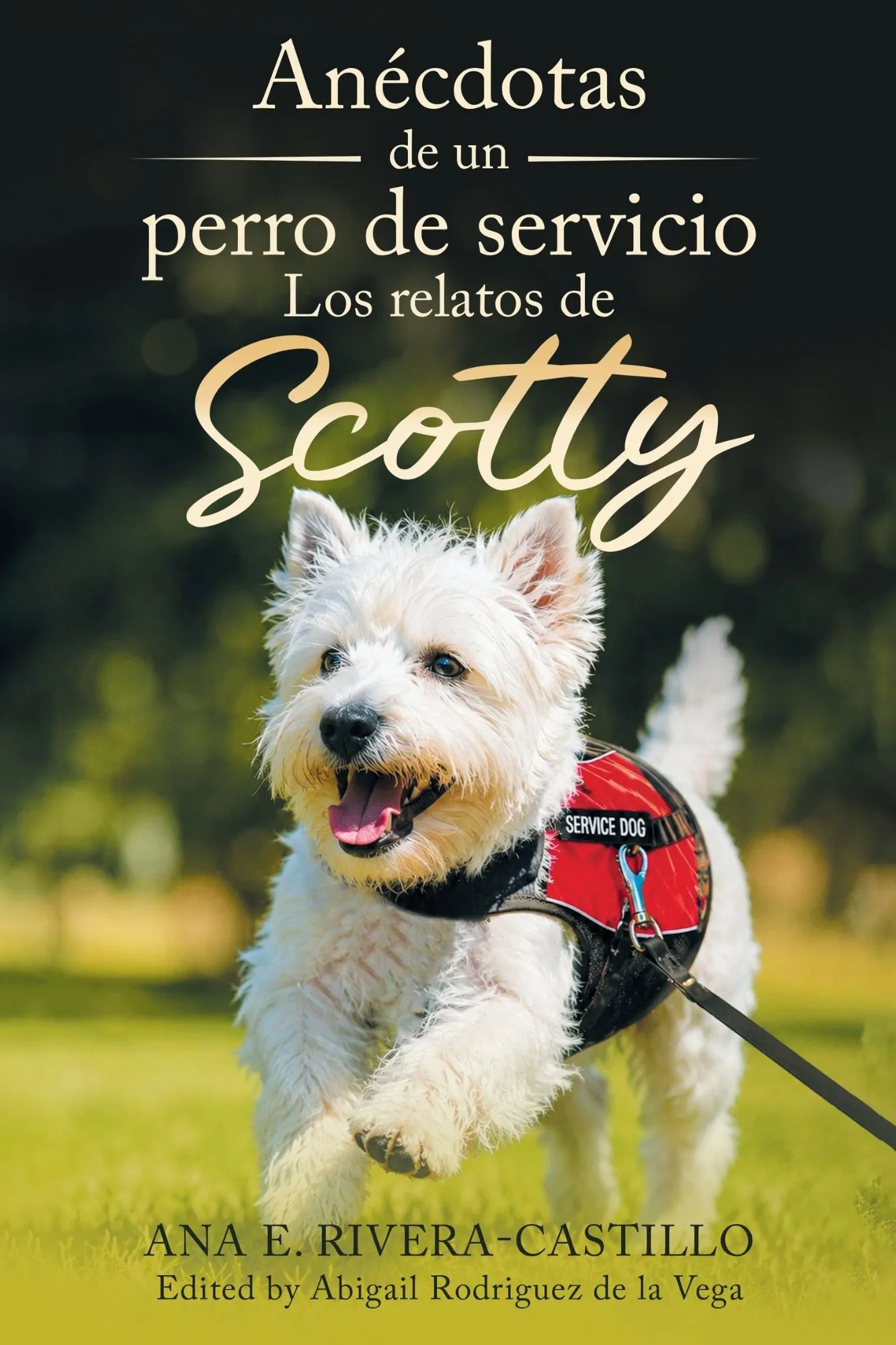 Anécdotas de un Perro de Servicio: Relatos de Scotty