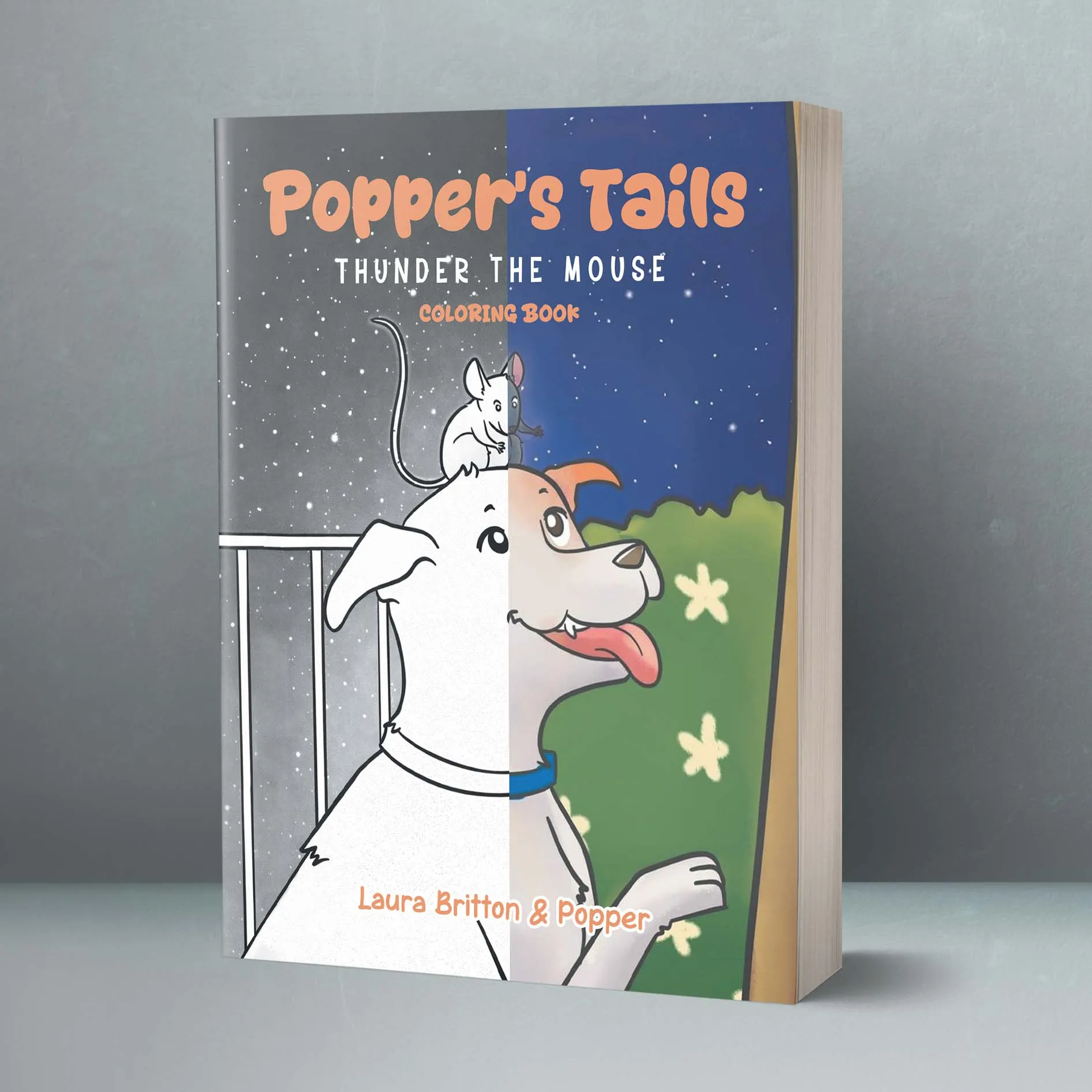 Thunder the Mouse (Popper’s Tails) - Image 3